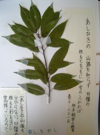DSCN5038.JPG