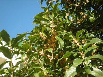 DSCN5670.JPG