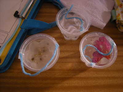 DSCN6754.JPG