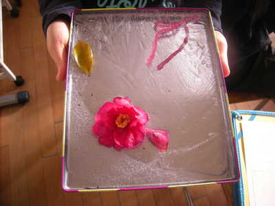 DSCN6756.JPG
