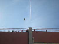DSCN7358.JPG