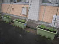 DSCN8060.JPG