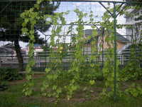 DSCN8770.JPG