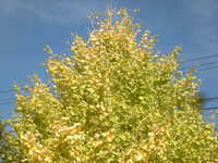 DSCN0495.JPG