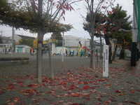 DSCN0614.JPG
