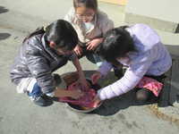 IMG_1723.JPG