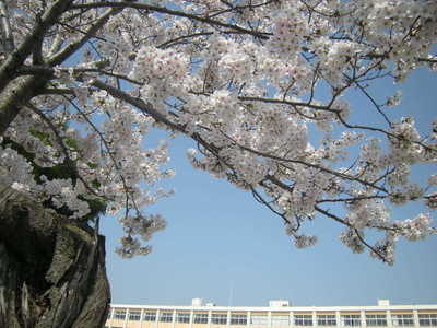 DSCN1362.JPG