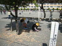 DSCN1583.JPG