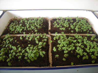 DSCN2105.JPG