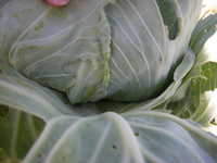 DSCN2715.JPG