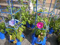 DSCN2979.JPG