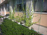 DSCN3065.JPG