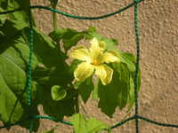 DSCN3066.JPG