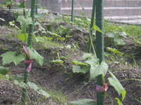 DSCN3071.JPG