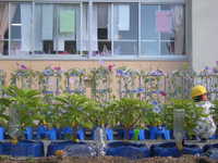 DSCN3074.JPG