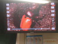 DSCN3114.JPG