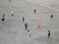 DSCN7454.JPG