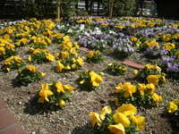 DSCN7810.JPG