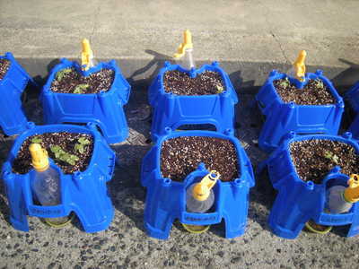 DSCN8532.JPG