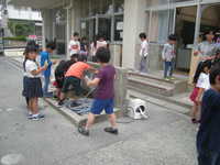DSCN8518.JPG