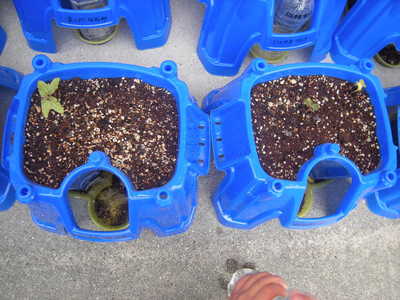 DSCN8521.JPG