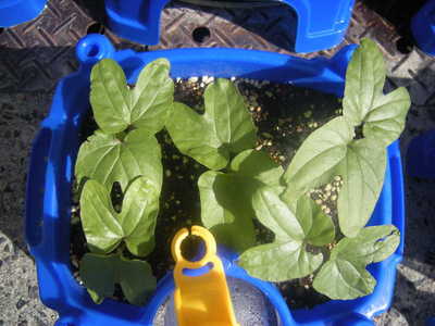 DSCN8649.JPG