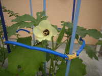 DSCN9419.JPG