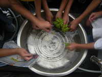 DSCN9442.JPG