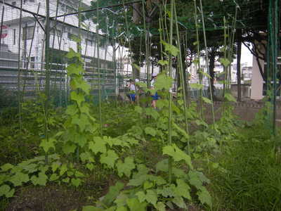 DSCN9465.JPG