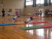 DSCN9503.JPG