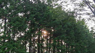 IMG_4799.JPG