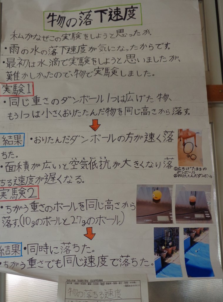 自由研究 高学年の作品