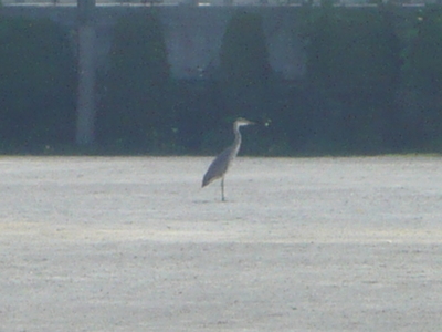 P1030754.JPG