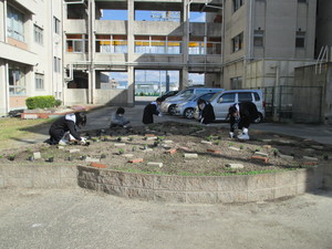 IMG_0467.JPG