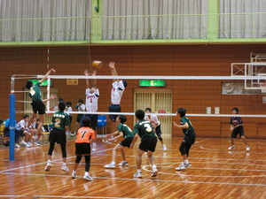 IMG_1231.JPG