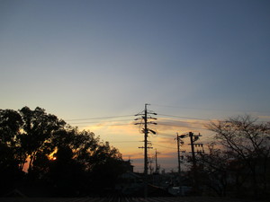 IMG_0514.JPG