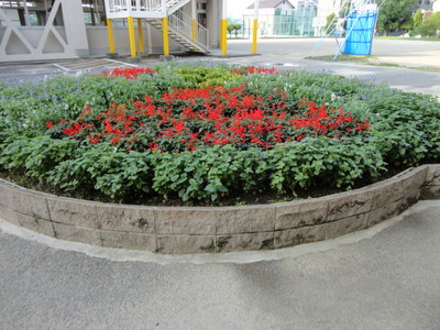 メイン花壇４.JPG