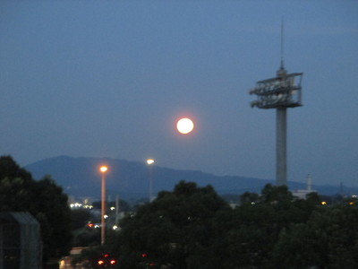 IMG_2507.JPG