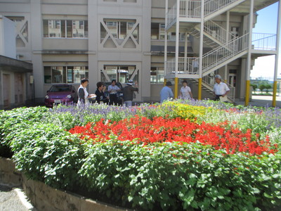 IMG_2519.JPG