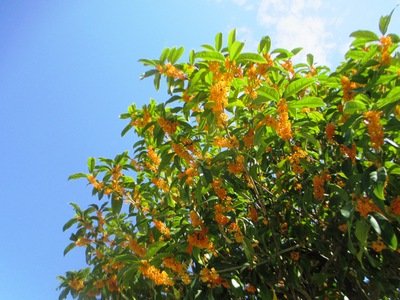 IMG_2750.JPG