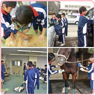 職場体験11052.jpg