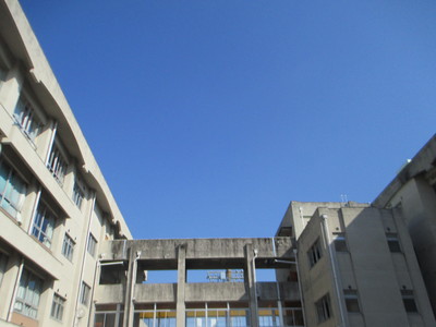 IMG_3043.JPG
