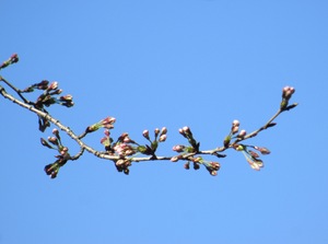 IMG_3855.JPG