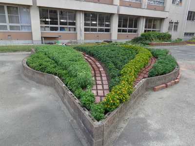 花壇８１１.JPG