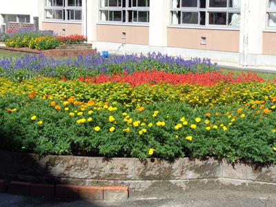 DSC02097.JPG