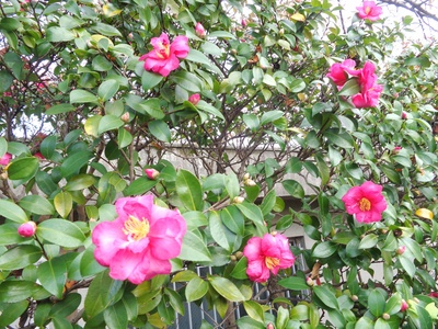 DSC03221.JPG