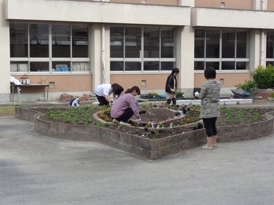 DSC03237.JPG