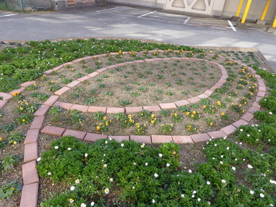DSC04441.JPG