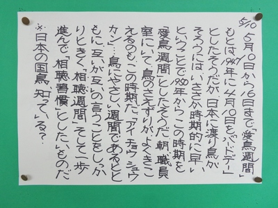 28-5-10.JPG