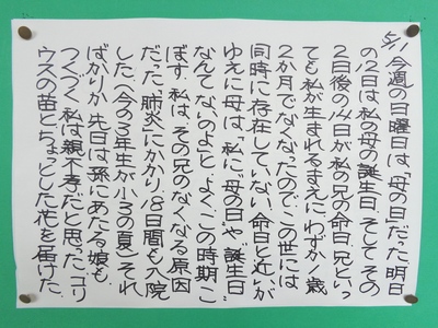 28-5-11.JPG